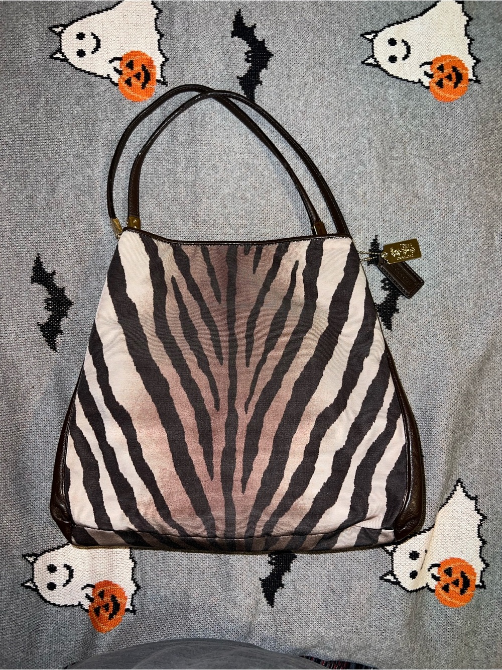 Coach Zebra-Print Shoulder Bag in Brown and Black